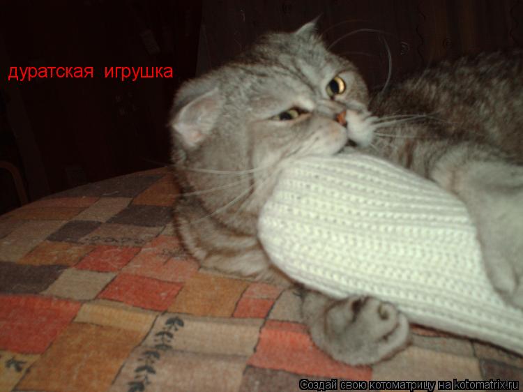 дуратская игрушка... Котоматрица: дуратская игрушка