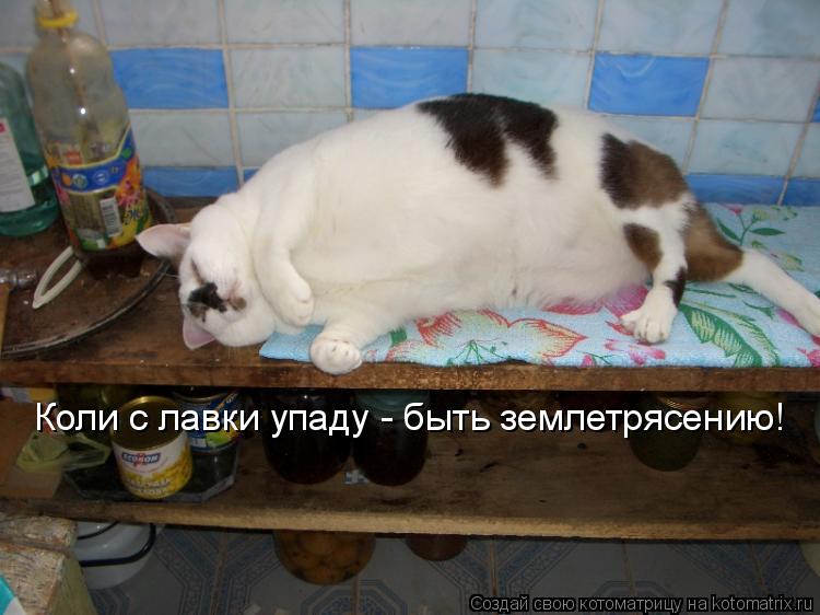 Коли с лавки упаду - быть землетрясению!... Котоматрица: Коли с лавки упаду - быть землетрясению!