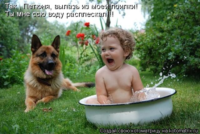 Так , Петюня, вылазь из моей поилки! Ты мне ссю воду расплескал!!!... Котоматрица: Так , Петюня, вылазь из моей поилки! Ты мне ссю воду расплескал!!!