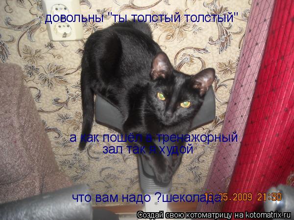 довольны "ты толстый толстый" а как пошёл в тренажорный зал так я худой что вам надо ?шеколада... Котоматрица: довольны "ты толстый толстый" а как пошёл в тренажорный зал так я худой что вам надо ?шеколада