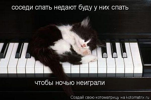соседи спать недают буду у них спать чтобы ночью неиграли... Котоматрица: соседи спать недают буду у них спать чтобы ночью неиграли