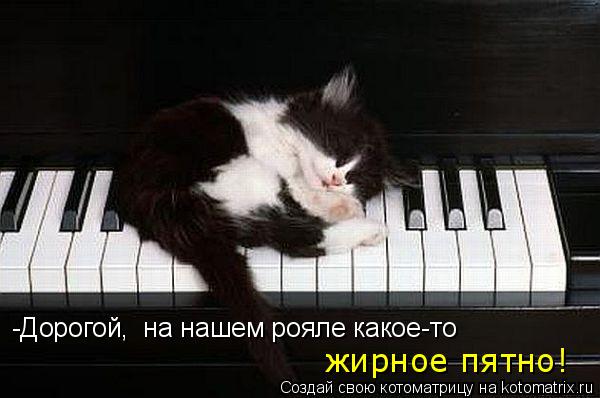 -Дорогой, на нашем рояле какое-то жирное пятно!... Котоматрица: -Дорогой, на нашем рояле какое-то жирное пятно!