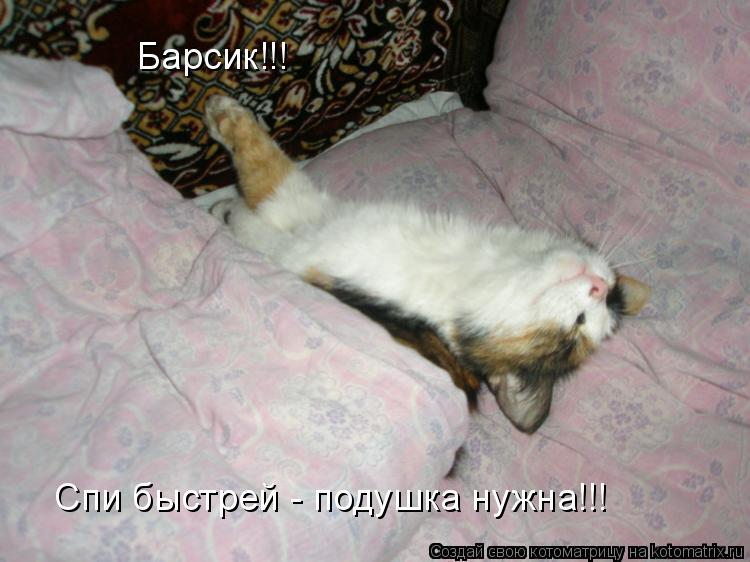 Барсик!!! Спи быстрей - подушка нужна!!!... Котоматрица: Барсик!!! Спи быстрей - подушка нужна!!!