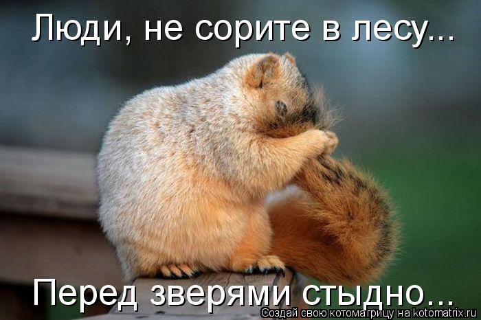 Люди, не сорите в лесу... Перед зверями стыдно...... Котоматрица: Люди, не сорите в лесу... Перед зверями стыдно...