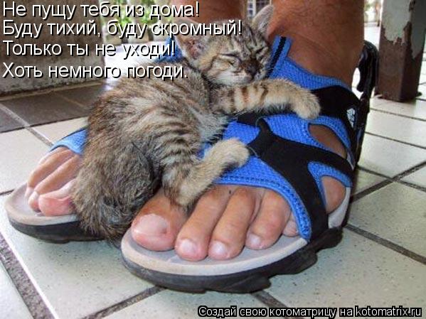 Не пущу тебя из дома! Буду тихий, буду скромный! Только ты не уходи! Хоть немного погоди.... Котоматрица: Не пущу тебя из дома! Буду тихий, буду скромный! Только ты не уходи! Хоть немного погоди.