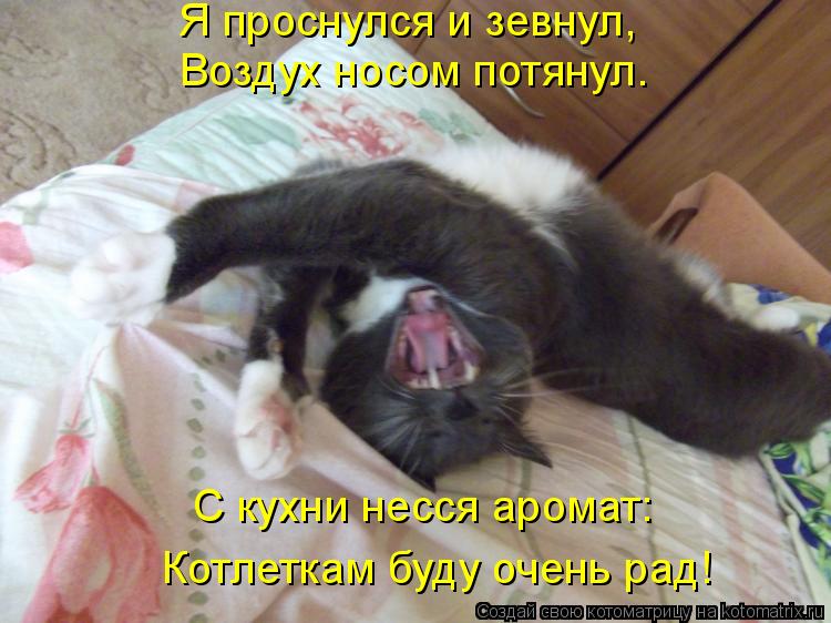 Я проснулся и зевнул, Воздух носом потянул. С кухни несся аромат: Котлеткам буду очень рад!... Котоматрица: Я проснулся и зевнул, Воздух носом потянул. С кухни несся аромат: Котлеткам буду очень рад!