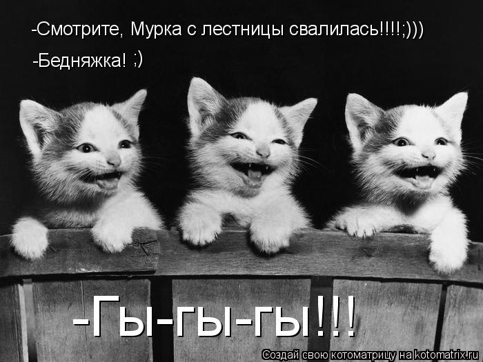 -Смотрите, Мурка с лестницы свалилась!!!!;))) -Бедняжка! -Гы-гы-гы!!! ;)... Котоматрица: -Смотрите, Мурка с лестницы свалилась!!!!;))) -Бедняжка! -Гы-гы-гы!!! ;)
