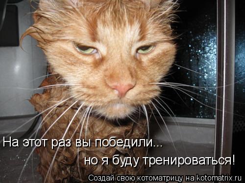 На этот раз вы победили... но я буду тренироваться!... Котоматрица: На этот раз вы победили... но я буду тренироваться!
