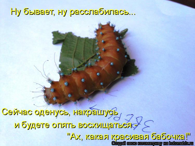 Сейчас оденусь, накрашусь Ну бывает, ну расслабилась... и будете опять восхищаться - "Ах, какая краси... Котоматрица: Сейчас оденусь, накрашусь Ну бывает, ну расслабилась... и будете опять восхищаться - "Ах, какая красивая бабочка!"