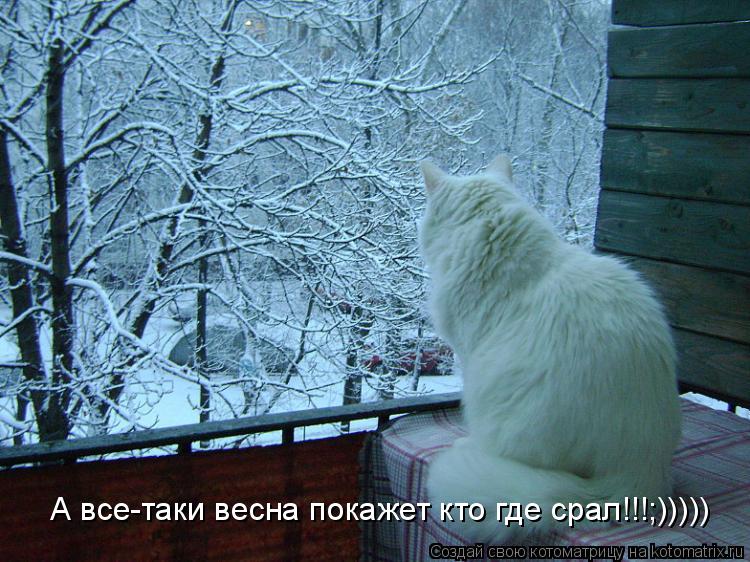 А все-таки весна покажет кто где срал!!!;)))))... Котоматрица: А все-таки весна покажет кто где срал!!!;)))))