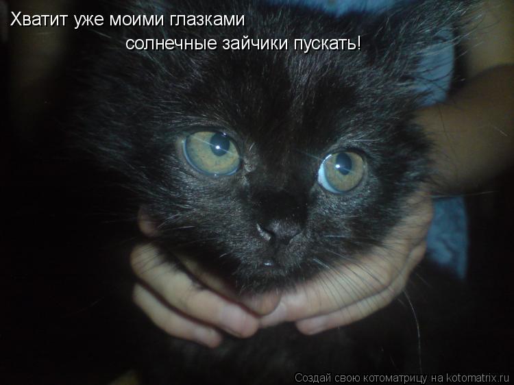 Хватит уже моими глазками солнечные зайчики пускать!... Котоматрица: Хватит уже моими глазками солнечные зайчики пускать!