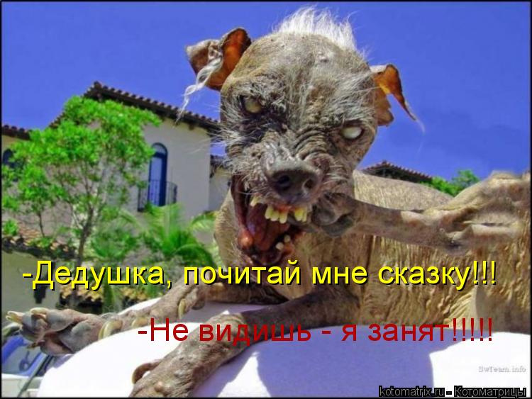 -Дедушка, почитай мне сказку!!! -Не видишь - я занят!!!!!... Котоматрица: -Дедушка, почитай мне сказку!!! -Не видишь - я занят!!!!!