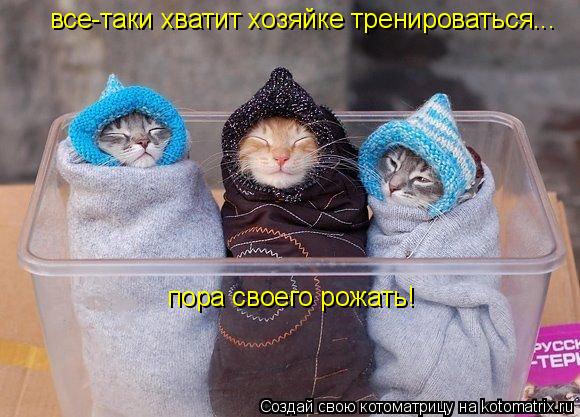 все-таки хватит хозяйке тренироваться... пора своего рожать!... Котоматрица: все-таки хватит хозяйке тренироваться... пора своего рожать!