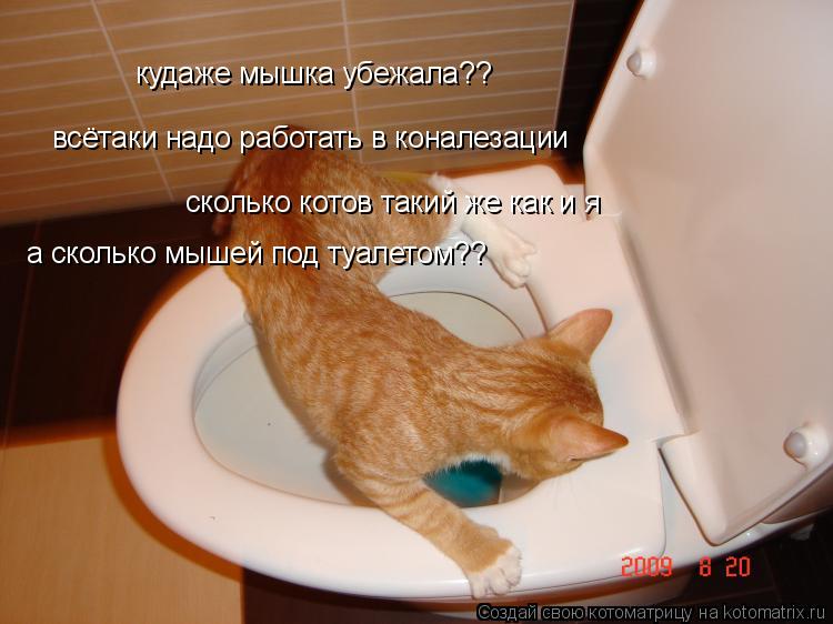 кудаже мышка убежала?? всётаки надо работать в коналезации сколько котов такий же как и я а сколько м... Котоматрица: кудаже мышка убежала?? всётаки надо работать в коналезации сколько котов такий же как и я а сколько мышей под туалетом??