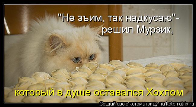 "Не зъим, так надкусаю"- решил Мурзик, который в душе оставался Хохлом... Котоматрица: "Не зъим, так надкусаю"- решил Мурзик, который в душе оставался Хохлом