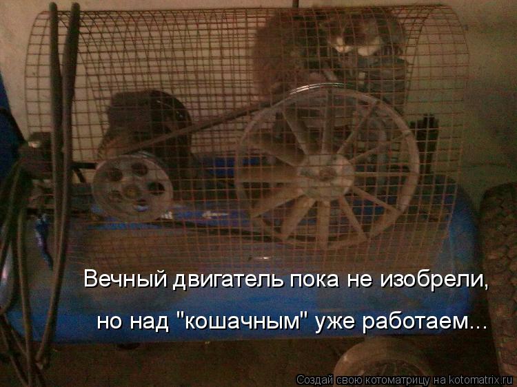 Вечный двигатель пока не изобрели, но над "кошачным" уже работаем...... Котоматрица: Вечный двигатель пока не изобрели, но над "кошачным" уже работаем...