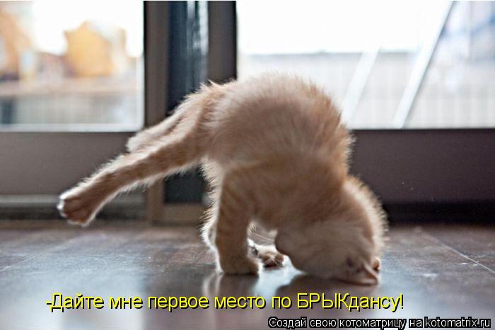 -Дайте мне первое место по БРЫКдансу!... Котоматрица: -Дайте мне первое место по БРЫКдансу!