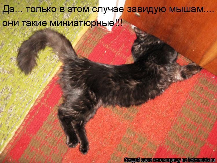 Да... только в этом случае завидую мышам.... они такие миниатюрные!!!... Котоматрица: Да... только в этом случае завидую мышам.... они такие миниатюрные!!!