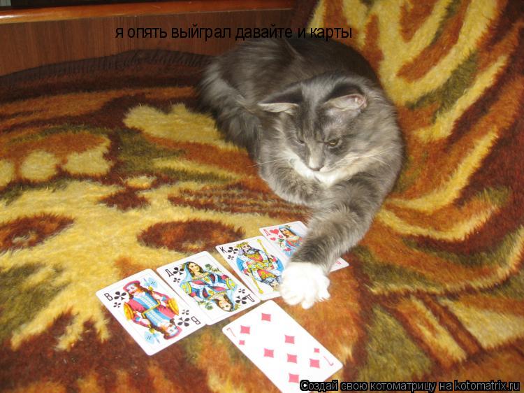 я опять выйграл давайте и карты... Котоматрица: я опять выйграл давайте и карты
