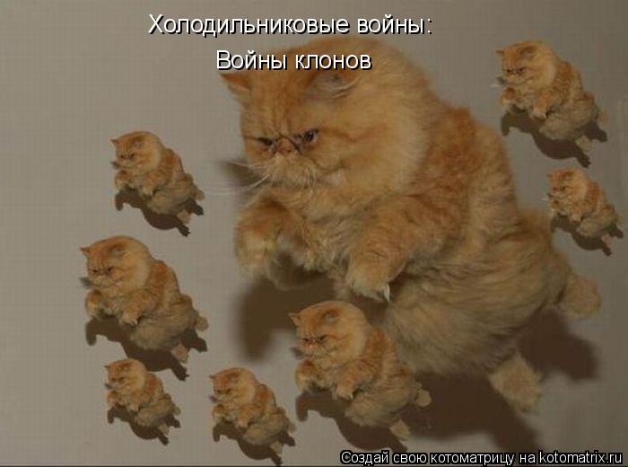 Холодильниковые войны: Войны клонов... Котоматрица: Холодильниковые войны: Войны клонов