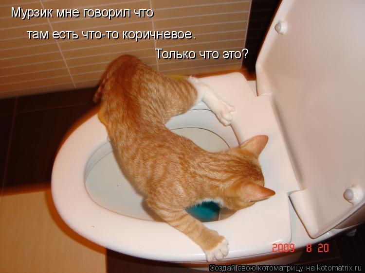 Мурзик мне говорил что там есть что-то коричневое . Только что это?... Котоматрица: Мурзик мне говорил что там есть что-то коричневое . Только что это?