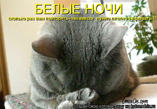 БЕЛЫЕ НОЧИ сколько раз вам повторять -занавески нужно плотно закрывать !!!... Котоматрица: БЕЛЫЕ НОЧИ сколько раз вам повторять -занавески нужно плотно закрывать !!!