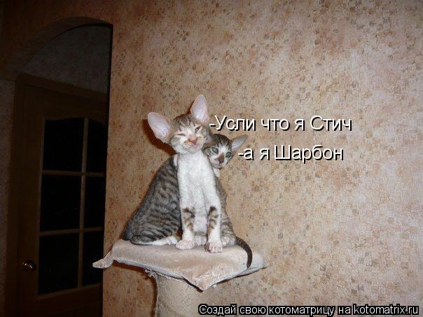 -Усли что я Стич -а я Шарбон... Котоматрица: -Усли что я Стич -а я Шарбон