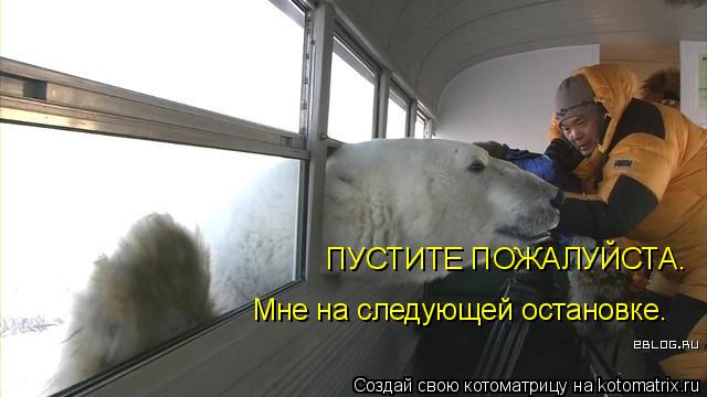 ПУСТИТЕ ПОЖАЛУЙСТА. Мне на следующей остановке.... Котоматрица: ПУСТИТЕ ПОЖАЛУЙСТА. Мне на следующей остановке.