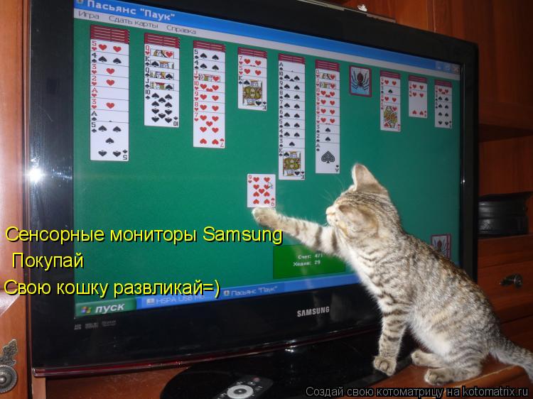 Сенсорные мониторы Samsung Покупай Свою кошку развликай=)... Котоматрица: Сенсорные мониторы Samsung Покупай Свою кошку развликай=)