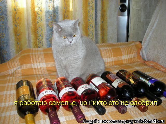 я работаю самелье, но никто это не одобрил... Котоматрица: я работаю самелье, но никто это не одобрил