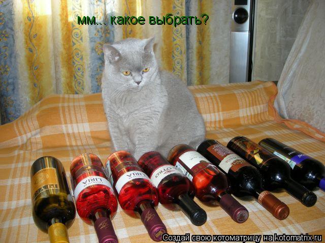 мм... какое выбрать?... Котоматрица: мм... какое выбрать?