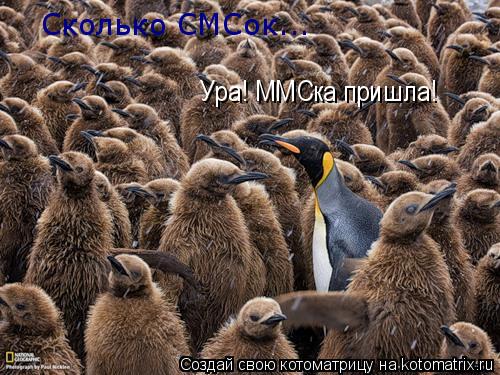 Ура! ММСка пришла! Сколько СМСок...... Котоматрица: Ура! ММСка пришла! Сколько СМСок...