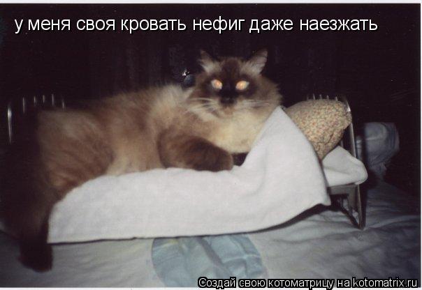 у меня своя кровать нефиг даже наезжать... Котоматрица: у меня своя кровать нефиг даже наезжать