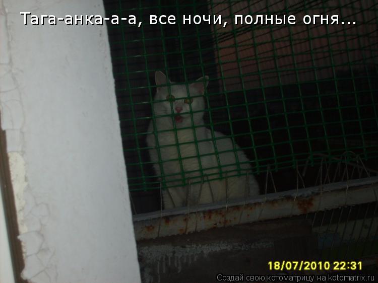 Тага-анка-а-а, все ночи, полные огня...... Котоматрица: Тага-анка-а-а, все ночи, полные огня...