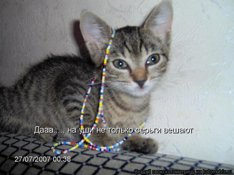 Дааа..... на уши не только серьги вешают... Котоматрица: Дааа..... на уши не только серьги вешают