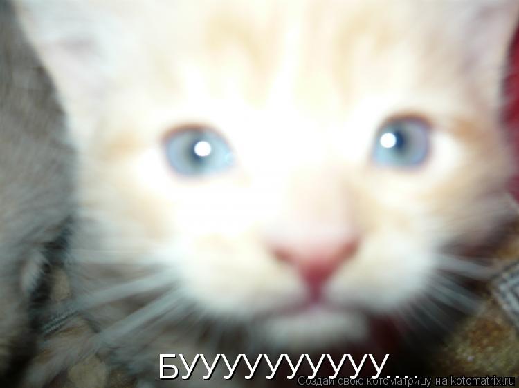 БУУУУУУУУУУ....... Котоматрица: БУУУУУУУУУУ....