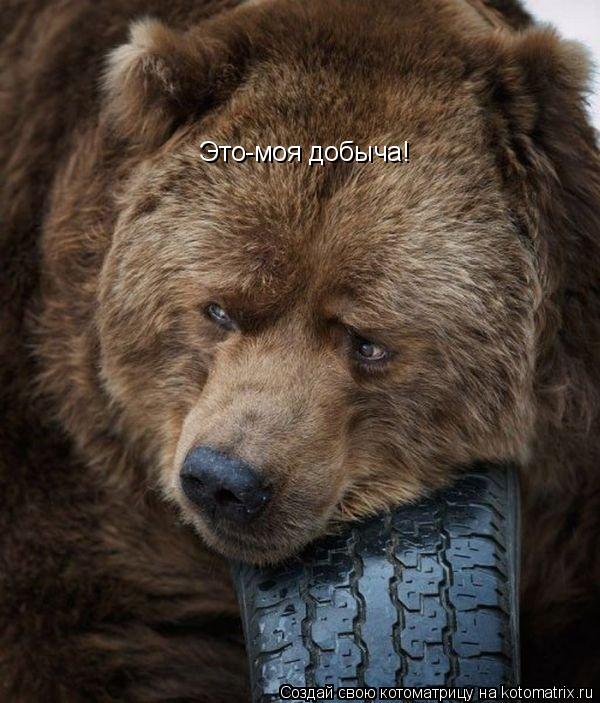 Это-моя добыча!... Котоматрица: Это-моя добыча!
