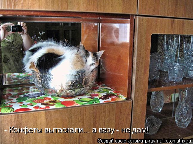 - Конфеты вытаскали... а вазу - не дам!... Котоматрица: - Конфеты вытаскали... а вазу - не дам!