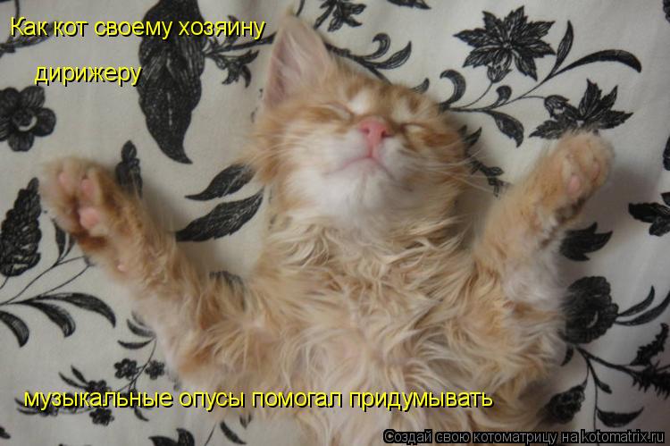Как кот своему хозяину дирижеру музыкальные опусы помогал придумывать... Котоматрица: Как кот своему хозяину дирижеру музыкальные опусы помогал придумывать