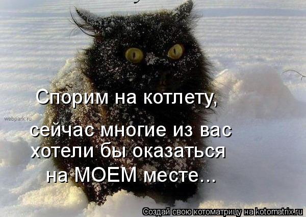 Спорим на котлету, сейчас многие из вас хотели бы оказаться на МОЕМ месте...... Котоматрица: Спорим на котлету, сейчас многие из вас хотели бы оказаться на МОЕМ месте...