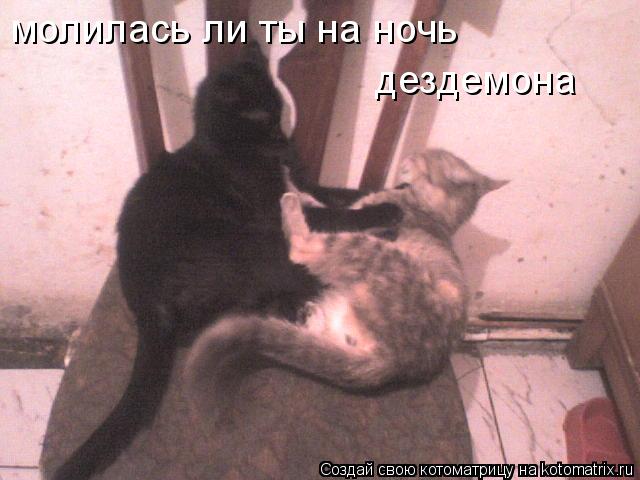 Котоматрица: молилась ли ты на ночь дездемона