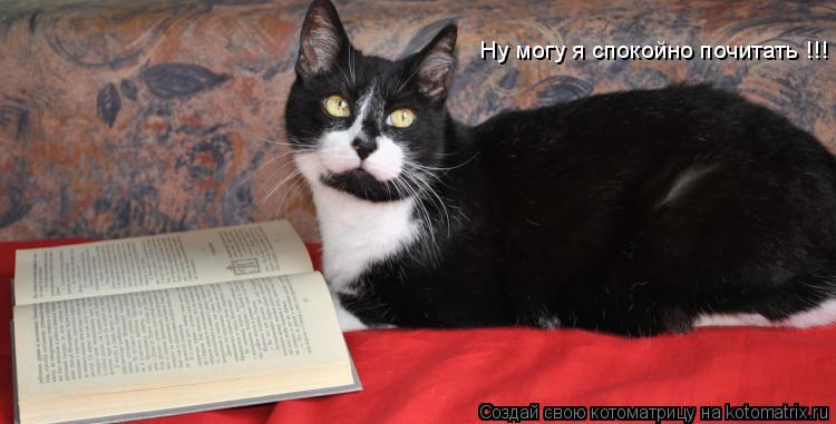 Ну могу я спокойно почитать !!!... Котоматрица: Ну могу я спокойно почитать !!!