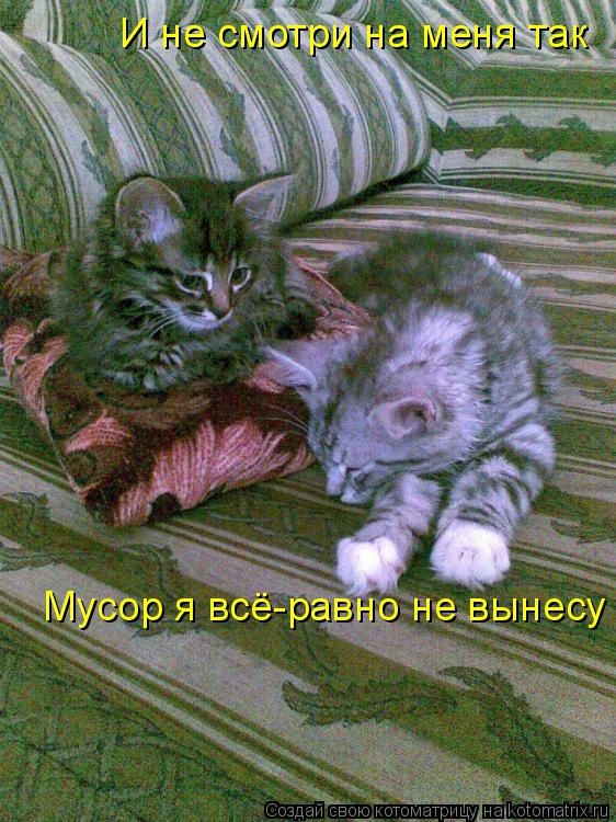 И не смотри на меня так Мусор я всё-равно не вынесу... Котоматрица: И не смотри на меня так Мусор я всё-равно не вынесу