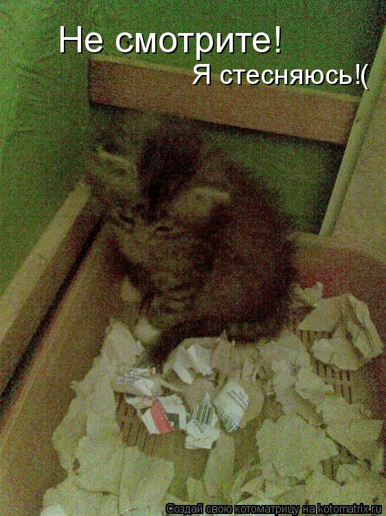 Не смотрите! Я стесняюсь!(... Котоматрица: Не смотрите! Я стесняюсь!(