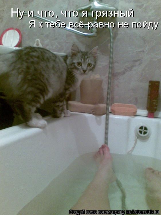 Ну и что, что я грязный Я к тебе всё-равно не пойду... Котоматрица: Ну и что, что я грязный Я к тебе всё-равно не пойду