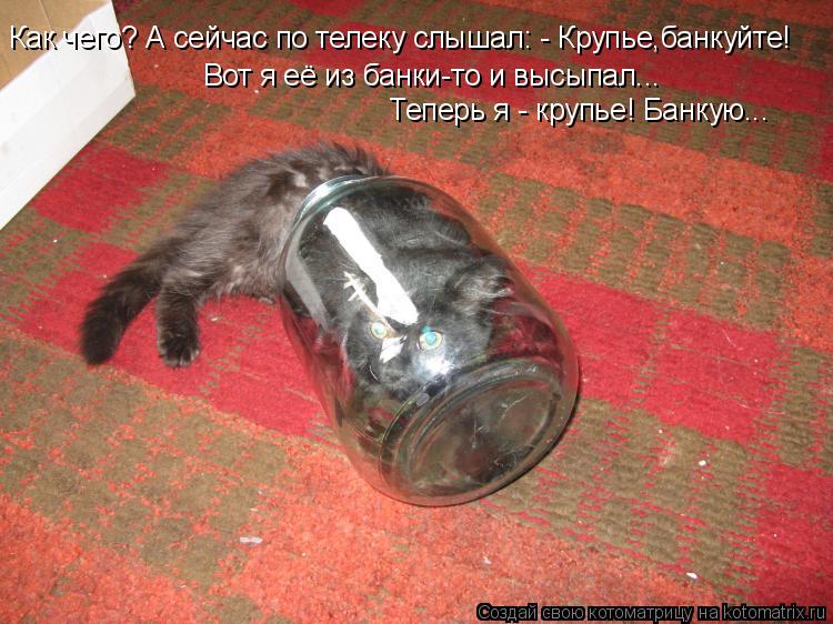 Как чего? А сейчас по телеку слышал: - Крупье,банкуйте! Вот я её из банки-то и высыпал... Теперь я - ... Котоматрица: Как чего? А сейчас по телеку слышал: - Крупье,банкуйте! Вот я её из банки-то и высыпал... Теперь я - крупье! Банкую...