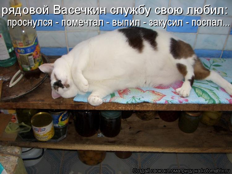 рядовой Васечкин службу свою любил: проснулся - помечтал - выпил - закусил - поспал... проснулся - по... Котоматрица: рядовой Васечкин службу свою любил: проснулся - помечтал - выпил - закусил - поспал... проснулся - помечтал - выпил - закусил - поспал...