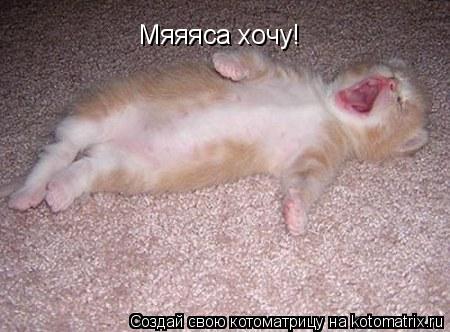 Мяяяса хочу!... Котоматрица: Мяяяса хочу!