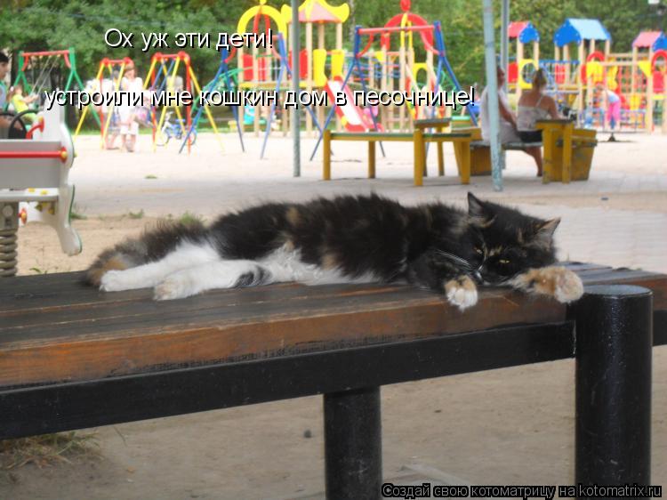 Ox yж эти дети! устроили мне кошкин дом в песочнице!... Котоматрица: Ox yж эти дети! устроили мне кошкин дом в песочнице!