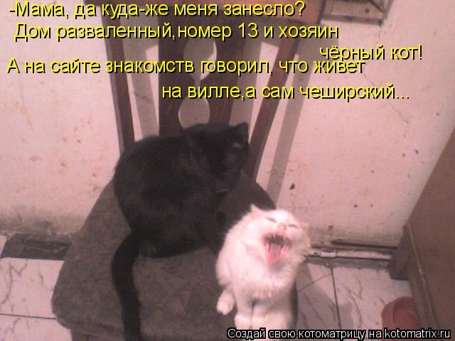-Мама, да куда-же меня занесло? Дом разваленный,номер 13 и хозяин чёрный кот! А на сайте знакомств г... Котоматрица: -Мама, да куда-же меня занесло? Дом разваленный,номер 13 и хозяин чёрный кот! А на сайте знакомств говорил, что живет на вилле,а сам чеширский..